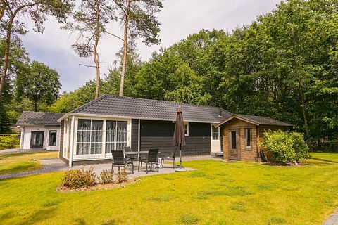 Übernachten in den Wäldern von Overijssel - 4