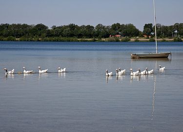 Hondvriendelijke vakantiehuis in Limburg - 17