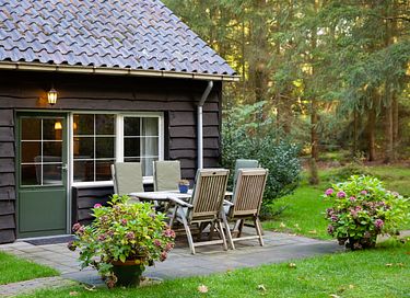 Knus boshuisje midden in de Veluwe - 19