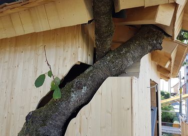 Prachtige boomhut in een oude kersenboom - 16