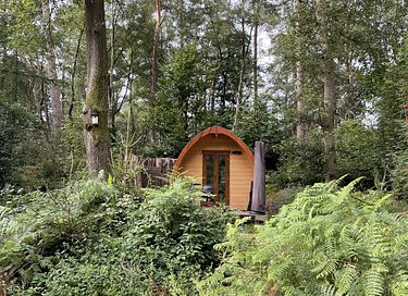 Luxury Pod in the middle of the forest - 10