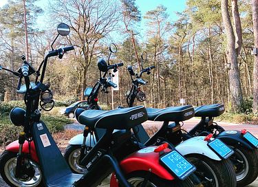 Luxe vakantievilla op de Veluwe - 27