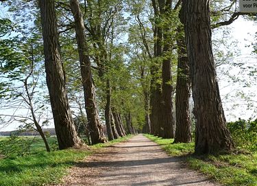 Glamping op Paarden & ponyboerderij - 17