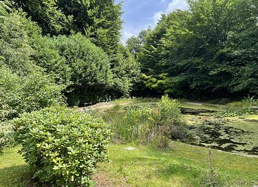 Moderne Waldvilla mit Jacuzzi und großem Garten - 24