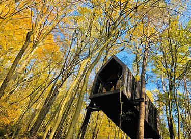 Unieke cabin tussen de bomen in de Ardennen
