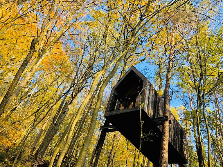 Einzigartige Hütte zwischen den Bäumen in den Ardennen - 1