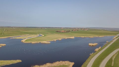 Bel appartement pour 10 personnes à Ameland - 2