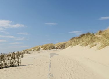Un soggiorno da sogno ad Ameland, proprio vicino al mare! - 15