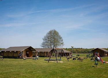 Glamping at Dairy Cattle & Calves Farm