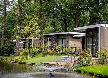 Hondvriendelijk vakantiehuis  - 6