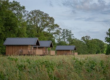 Hébergement de groupe dans une prairie à Drenthe !