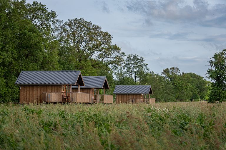 Hébergement de groupe dans une prairie à Drenthe ! - 1