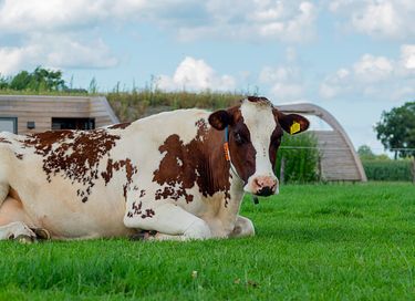 Landelijk gelegen groepsaccommodatie  - 34