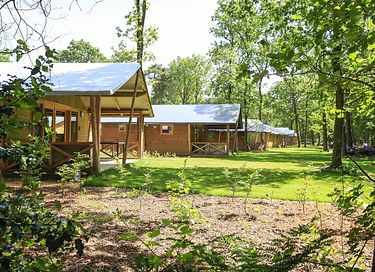 Knusse cottage voor 5 personen in Brabant - 2