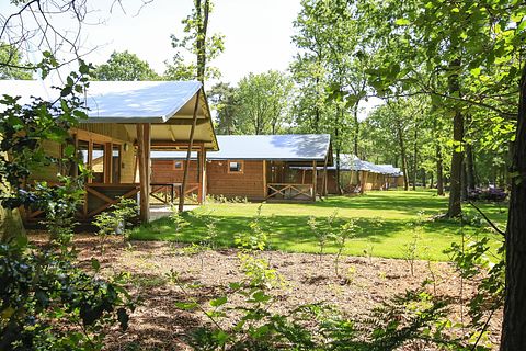 Knusse cottage voor 5 personen in Brabant - 2