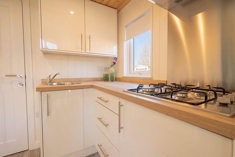 Knus tiny house in de Limburgse natuur - 5