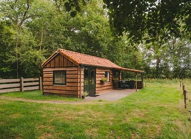 Forest cottage on a beautiful estate - 12