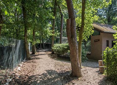 Cozy holiday home on wooded park in Brabant - 34