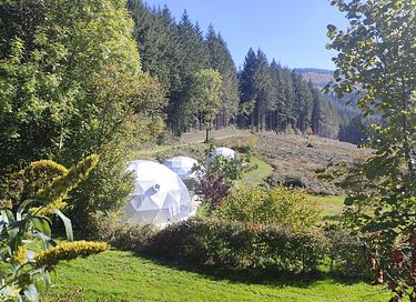Glamping-Kuppel unter den französischen Sternen - 16