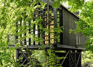 Unique cabane dans les arbes avec sauna privé dans les Ardennes - 3