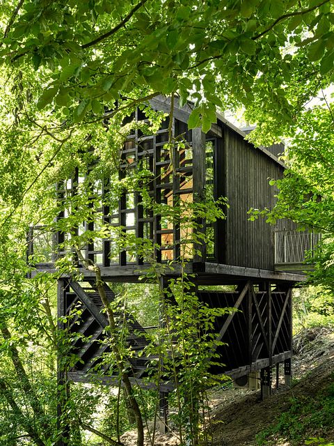 Unique cabane dans les arbes avec sauna privé dans les Ardennes - 3