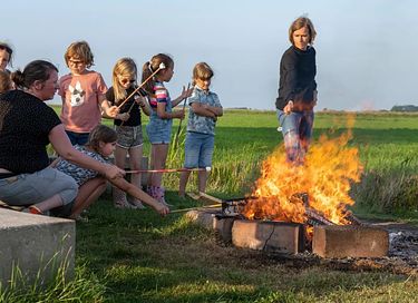 Glamping à la ferme des vaches laitières et des veaux - 15
