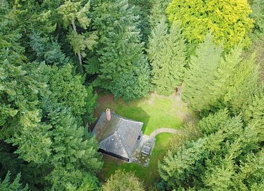 Romantic forest cottage on Veluwe estate - 2