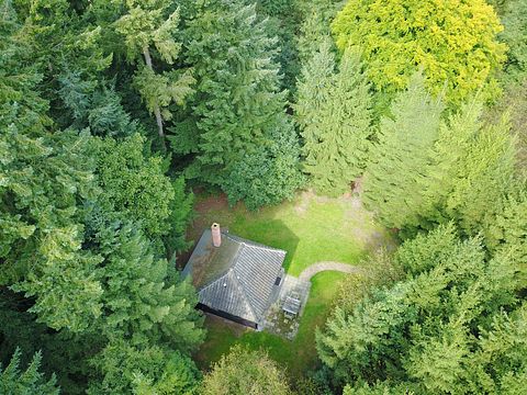 Romantic forest cottage on Veluwe estate - 2