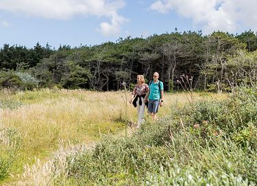 Vakantiehuis op Ameland voor hondenbezitters - 39