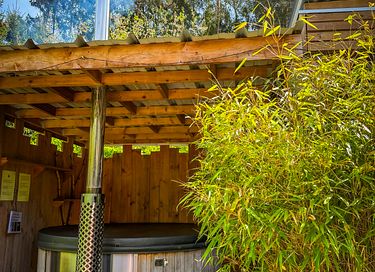 Forest lodge in the Ardennes with hot tub - 33