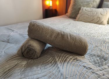 Lodge dans les bois avec bain à remous privé à Drenthe - 13