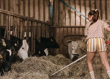 Comfortabel tenthuisje op gezellige boerderij - 48