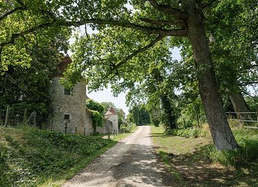 Tiny house dans les vignes en Dordogne - 17