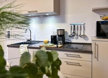Appartement dans les montagnes avec vue - 11