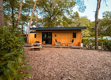 Tiny house met veranda in Drenthe voor 4 personen - 2