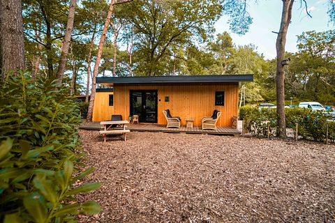 Tiny house met veranda in Drenthe voor 4 personen - 2