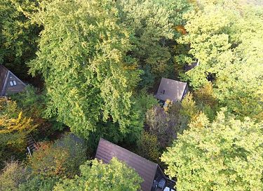 Lodge avec vue imprenable dans les Ardennes - 31
