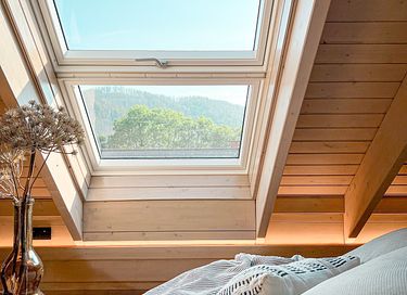 Sfeervol vakantiehuis met sauna in de Harz - 24