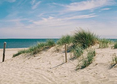 Wohnung mit Meerblick auf Texel - 2