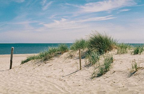 Wohnung mit Meerblick auf Texel - 2