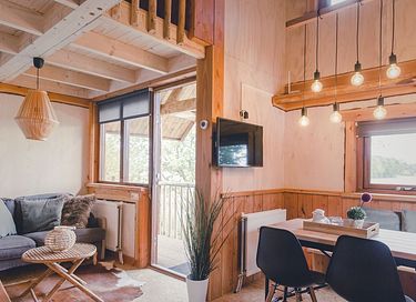 Maison dans les arbres à Overijssel au bord d'une rivière - 11