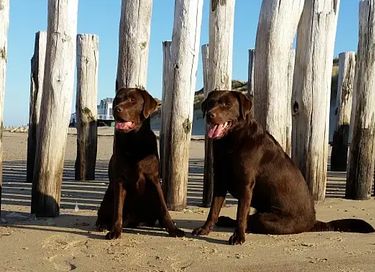 Trois Avenue des Turcs 28 - 29