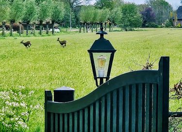Overnachten op het platteland - 24