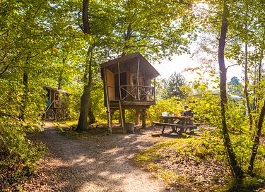 Baumhaus auf schönem Campingplatz in Drenthe