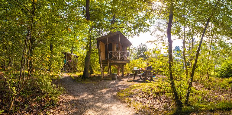 Cabane suspendue dans un beau camping à Drenthe - 1