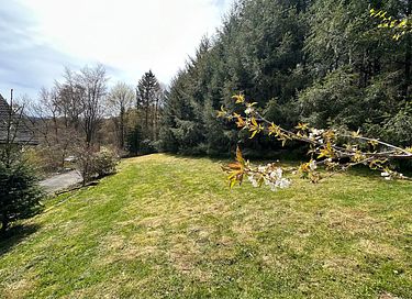 Villa privée au milieu de la forêt en Allemagne - 30