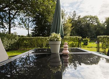 Hondvriendelijk vakantiehuis Drenthe - 44