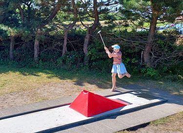 Prachtige familiecamping op Ameland - 31