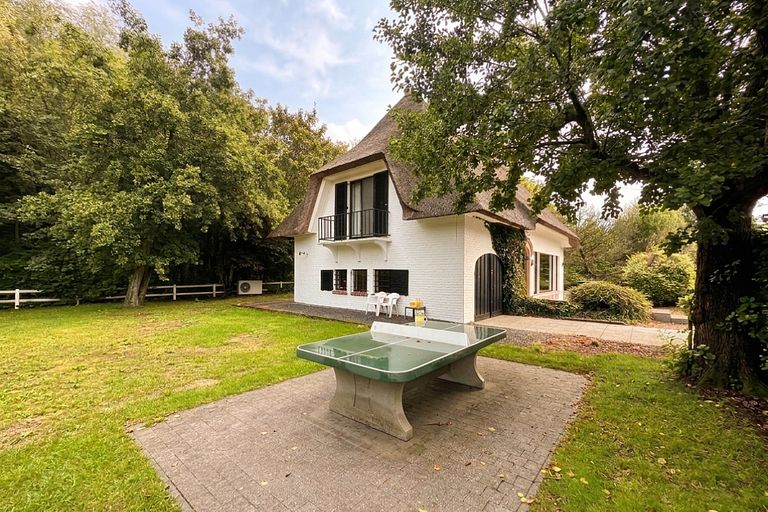 Belle villa (10p) près de la forêt et de la plage - 1