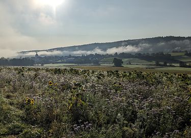 Vakantiewoning in de prachtige Duitse natuur - 16